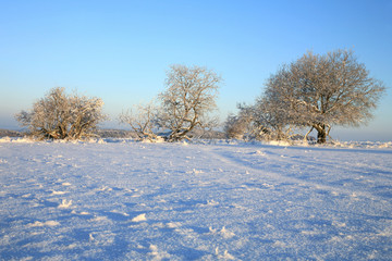 Empty cross-country ski track and winter meadow in Table Mountains in Poland Sudetes by sunrise.