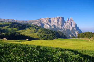 Fototapeta na wymiar Schlern - mountain Schlern in Alto Adige