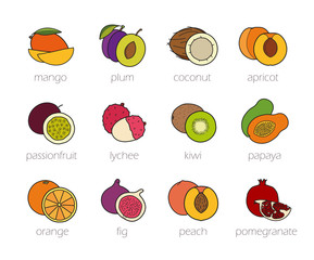 Fruits color icons set