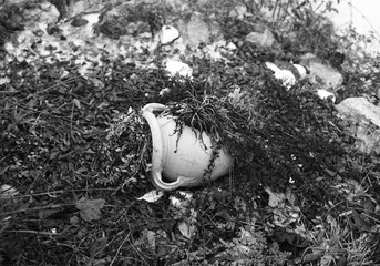 Faded flowers in the broken pot.