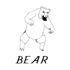 hand draw bear style sketch 