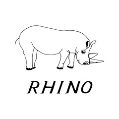 hand draw a rhino