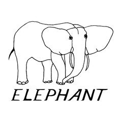 hand draw a sketch in the style of an elephant 