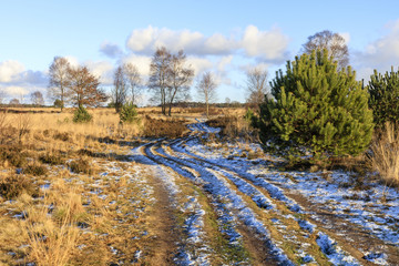 De heide en zandverstuiving van het Rozendaalse veld bij Annhem