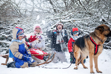 Fototapeta na wymiar German Shepherd Dog pulling children on sleds during snow time