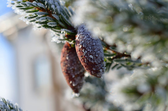 Serbski Images Browse 47 Stock Photos, Vectors, and Video Adobe Stock