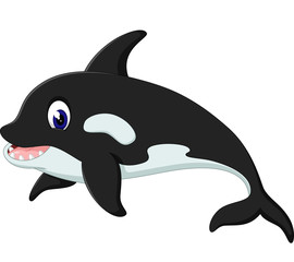illustration of cute whale cartoon