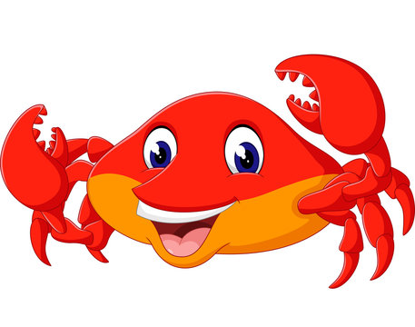 illustration of cute crab cartoon