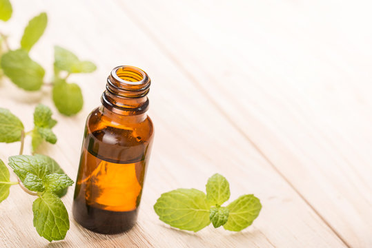 Fresh Mint Oil On Wooden Table