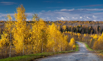 Naklejka premium Autumn road under the blue sky