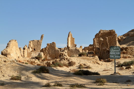Die alte Oasen Stadt Siwa in der Sahara von &Auml;gypten 