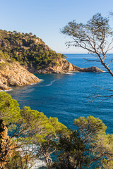Fototapeta na wymiar Typical beautiful wild Costa Brava coastline, Catalonia