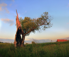 Ze Śmierci w Życie © Wojciech Lisiński