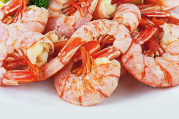 Boiled royal Argentine shrimp on a plate