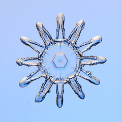 Fototapeta premium Snowflake blue background isolated