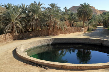 Die Oase Siwa in der Sahara in Ägypten