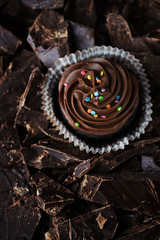 Chocolate fondant on chocolate background