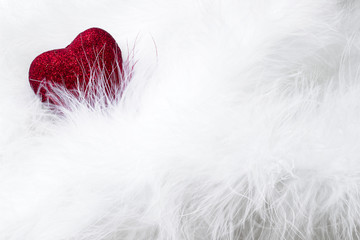 Happy Valentine’s day. Red heart among the white feathers