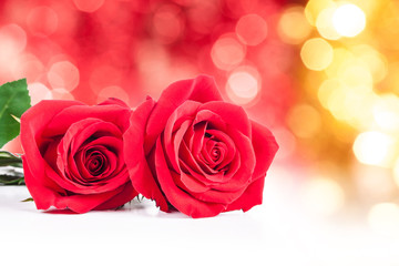 Obraz na płótnie Canvas red roses on Valentine's Day