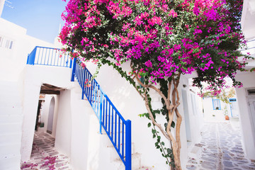 Fototapety  Tradycyjny grecki dom z kwiatami na wyspie Paros, Grecja