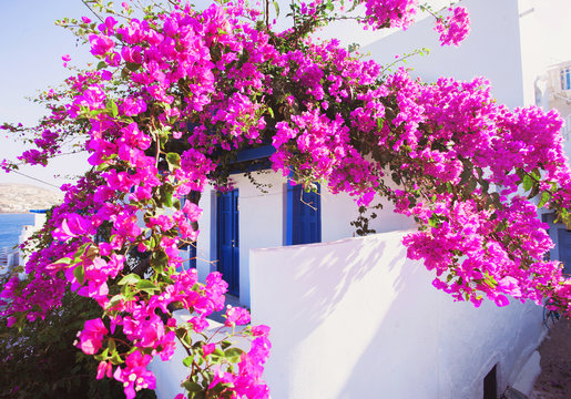 Traditional greek house with flowers in Paros island, Greece