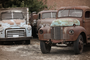 Old rusty abandoned trucks in the yard