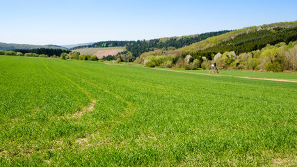 Fototapeta na wymiar Landschaft Eifel 1