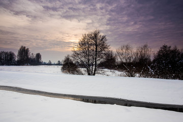 Winter landscape of frosty trees