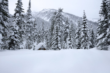 the house in the winter forest