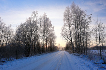 Obraz na płótnie Canvas winter landscape in the background field