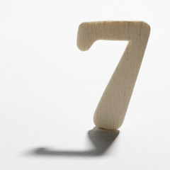 wooden feven shadow before