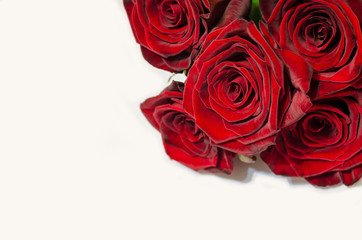 Red roses isolated on white background. Gift card concept