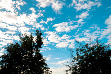 White Clouds and Blue Sky