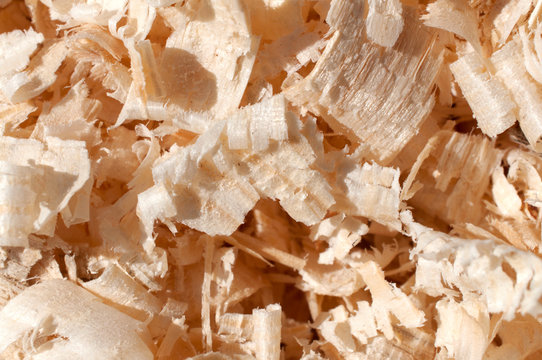 Wood chips and sawdust texture