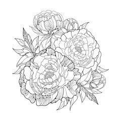 Obraz premium Round bouquet with five ornate peony flower and leaves isolated on white background. Floral elements in contour style.