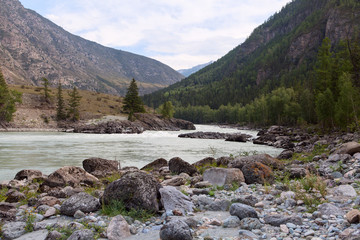 Argut river. Mountain Altai landscape. Russia.