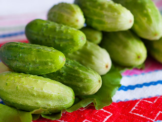 Fresh green cucumbers.