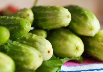 Fresh green cucumbers.