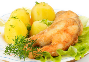Slices of grilled sea bass