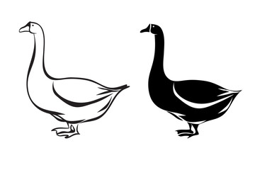 Fototapeta na wymiar Isolated silhouette of goose