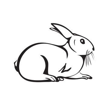 Isolated outline rabbit