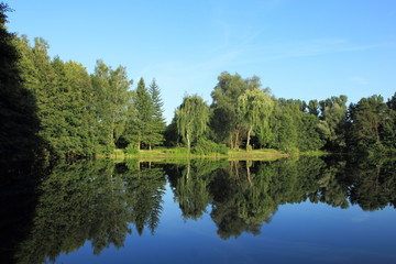 See mit Wald und grüner Vegetation im Sommer