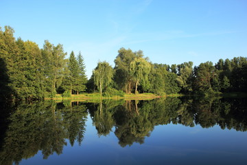Fototapeta na wymiar See mit Wald und grüner Vegetation im Sommer