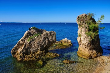 Fototapeta premium Miramare Strand - Miramare beach near Trieste