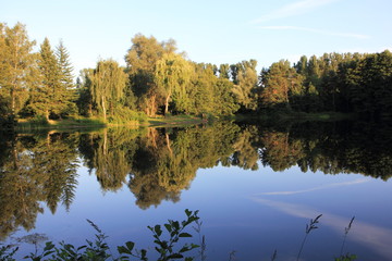 Sonniger Tag an einem See mit Bäumen
