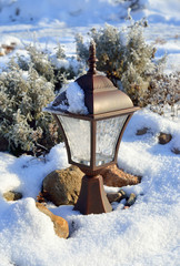 Zima w ogrodzie © Bydlinska