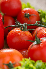 Fresh vegetables lying in a bowl 