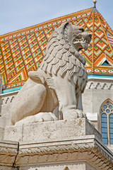 Budapest - Lion from st. Stephen memorial