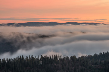 Naklejka na ściany i meble Carpathian mountains in the clouds, sunrise seen from Wysoka mountain in Pieniny, Poland