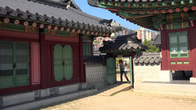 Tourist on the territory of Gyeongbok Palace. Seoul, South Korea.